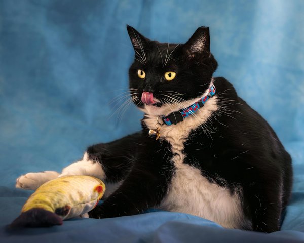 How to watch live french tv: your complete guide